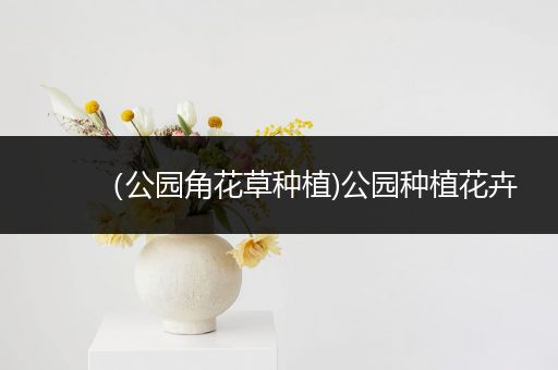 （公园角花草种植)公园种植花卉