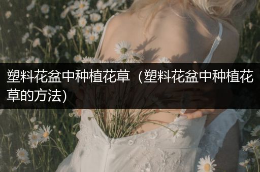 塑料花盆中种植花草（塑料花盆中种植花草的方法）