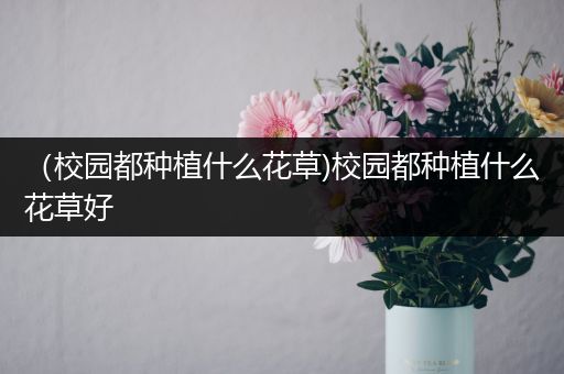 （校园都种植什么花草)校园都种植什么花草好