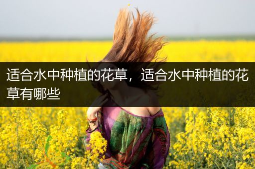 适合水中种植的花草，适合水中种植的花草有哪些