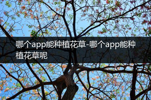 哪个app能种植花草-哪个app能种植花草呢