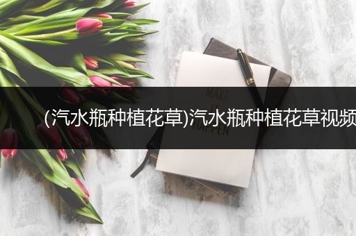 （汽水瓶种植花草)汽水瓶种植花草视频