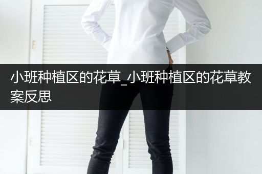 小班种植区的花草_小班种植区的花草教案反思