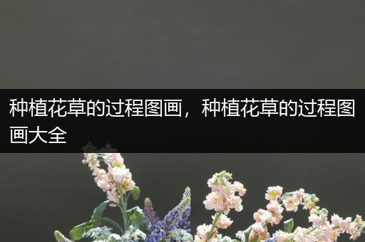 种植花草的过程图画，种植花草的过程图画大全