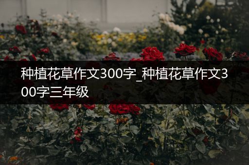 种植花草作文300字_种植花草作文300字三年级