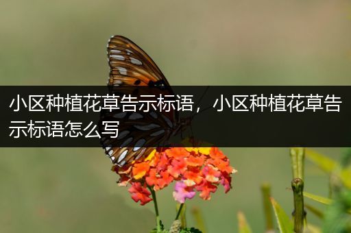 小区种植花草告示标语，小区种植花草告示标语怎么写