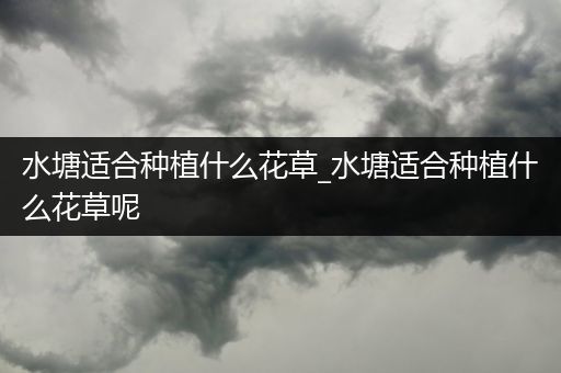 水塘适合种植什么花草_水塘适合种植什么花草呢