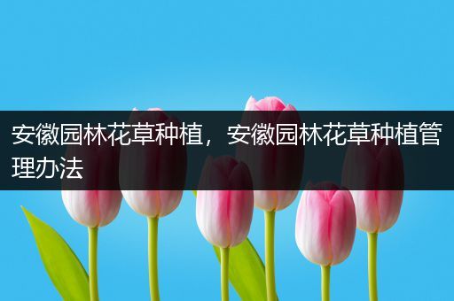 安徽园林花草种植，安徽园林花草种植管理办法