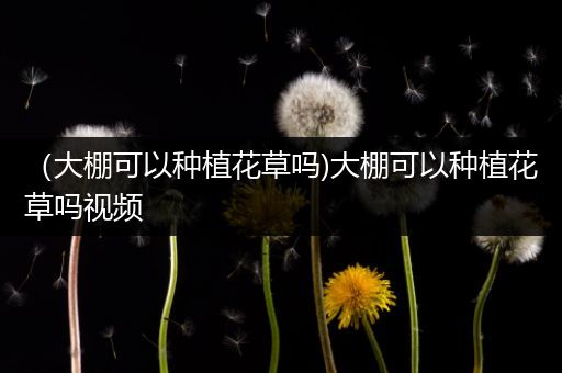 （大棚可以种植花草吗)大棚可以种植花草吗视频
