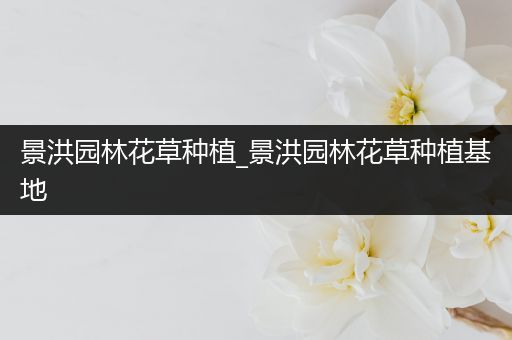 景洪园林花草种植_景洪园林花草种植基地