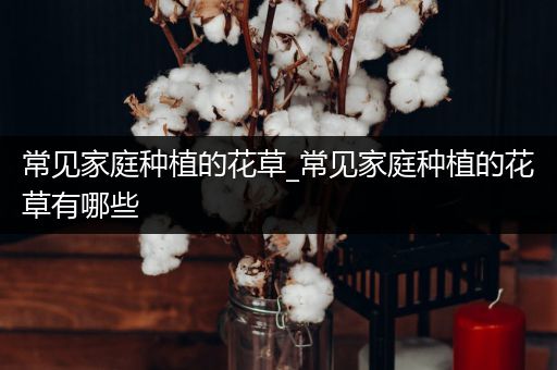 常见家庭种植的花草_常见家庭种植的花草有哪些