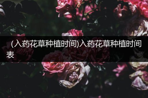 （入药花草种植时间)入药花草种植时间表