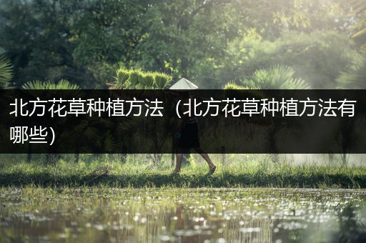 北方花草种植方法（北方花草种植方法有哪些）