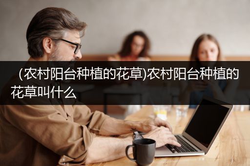 （农村阳台种植的花草)农村阳台种植的花草叫什么