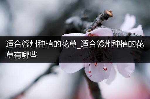 适合赣州种植的花草_适合赣州种植的花草有哪些