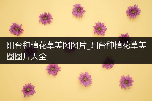 阳台种植花草美图图片_阳台种植花草美图图片大全