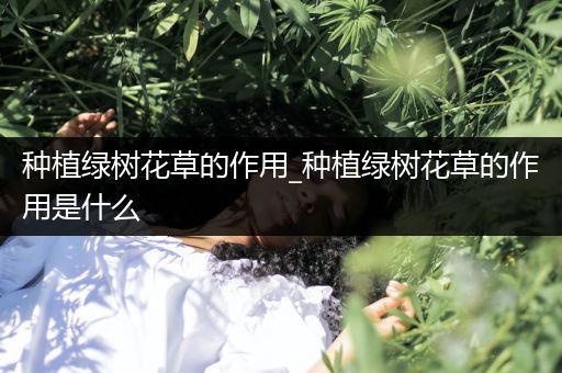 种植绿树花草的作用_种植绿树花草的作用是什么