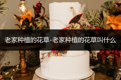 老家种植的花草-老家种植的花草叫什么