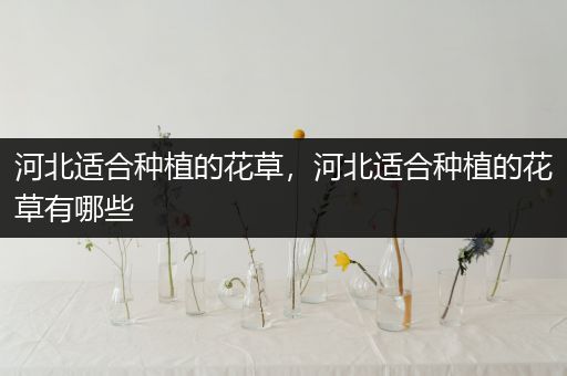 河北适合种植的花草，河北适合种植的花草有哪些