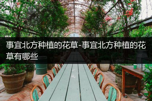 事宜北方种植的花草-事宜北方种植的花草有哪些