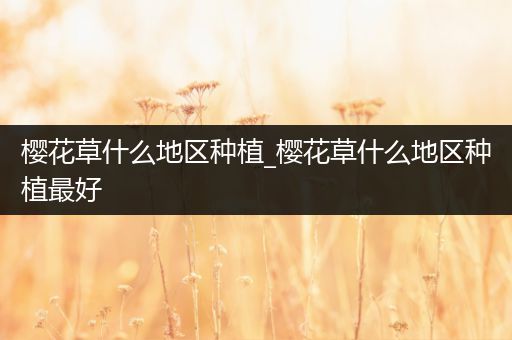 樱花草什么地区种植_樱花草什么地区种植最好