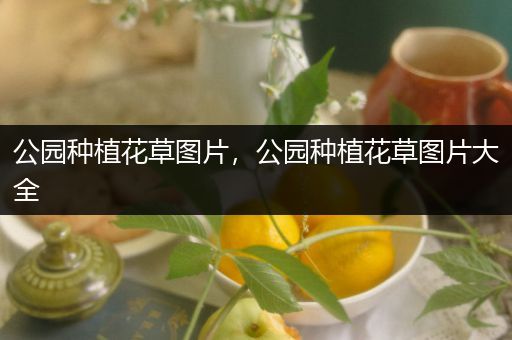 公园种植花草图片，公园种植花草图片大全