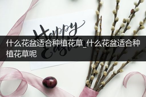 什么花盆适合种植花草_什么花盆适合种植花草呢