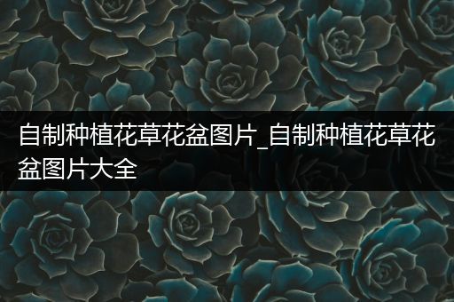 自制种植花草花盆图片_自制种植花草花盆图片大全