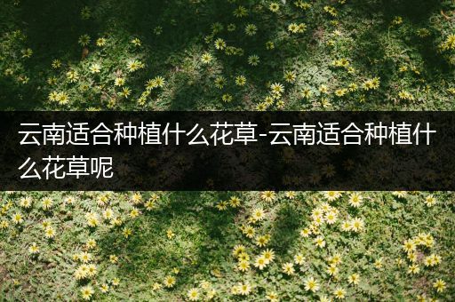 云南适合种植什么花草-云南适合种植什么花草呢