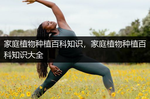 家庭植物种植百科知识，家庭植物种植百科知识大全