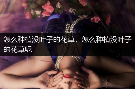 怎么种植没叶子的花草，怎么种植没叶子的花草呢