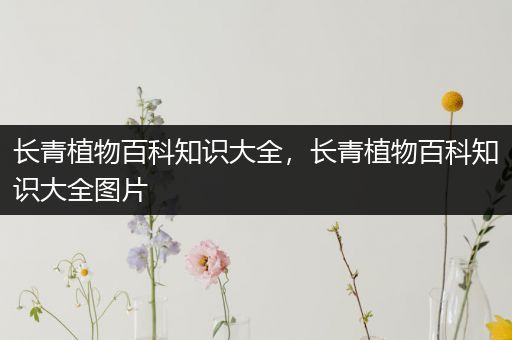 长青植物百科知识大全，长青植物百科知识大全图片