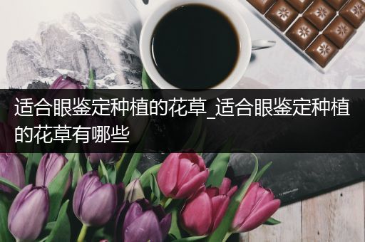 适合眼鉴定种植的花草_适合眼鉴定种植的花草有哪些