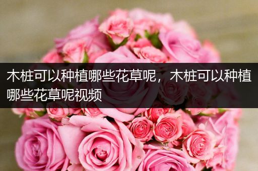 木桩可以种植哪些花草呢，木桩可以种植哪些花草呢视频