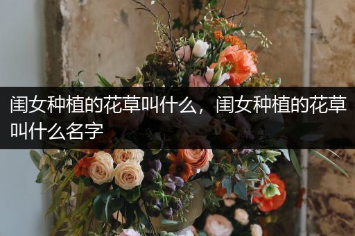 闺女种植的花草叫什么，闺女种植的花草叫什么名字