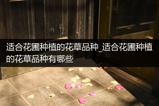 适合花圃种植的花草品种_适合花圃种植的花草品种有哪些