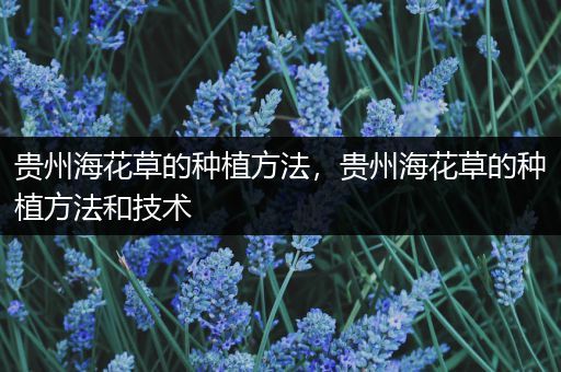 贵州海花草的种植方法，贵州海花草的种植方法和技术