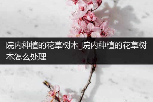 院内种植的花草树木_院内种植的花草树木怎么处理