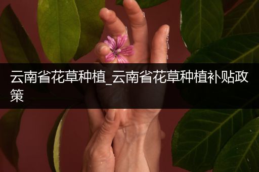 云南省花草种植_云南省花草种植补贴政策