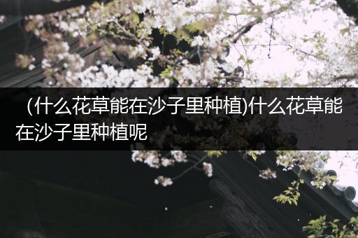 （什么花草能在沙子里种植)什么花草能在沙子里种植呢