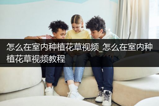 怎么在室内种植花草视频_怎么在室内种植花草视频教程