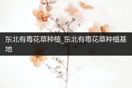东北有毒花草种植_东北有毒花草种植基地