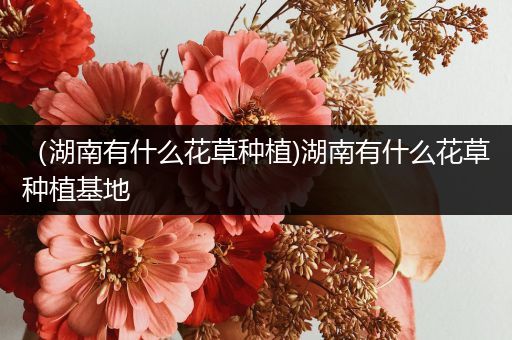 （湖南有什么花草种植)湖南有什么花草种植基地