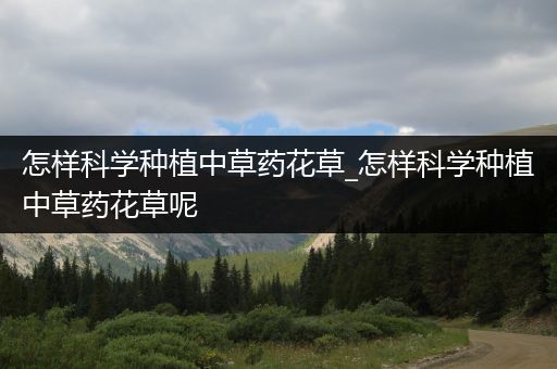 怎样科学种植中草药花草_怎样科学种植中草药花草呢