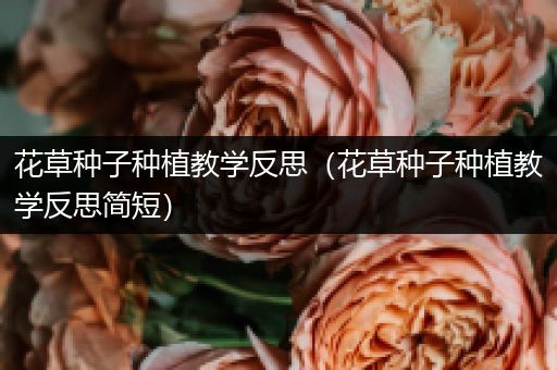 花草种子种植教学反思（花草种子种植教学反思简短）