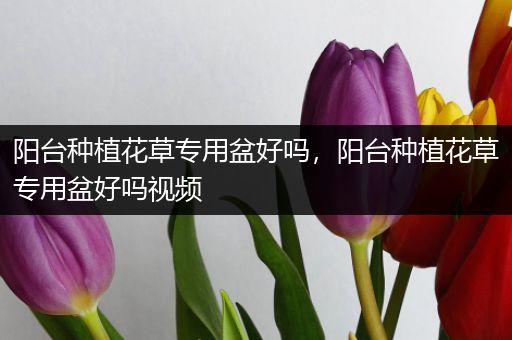 阳台种植花草专用盆好吗，阳台种植花草专用盆好吗视频