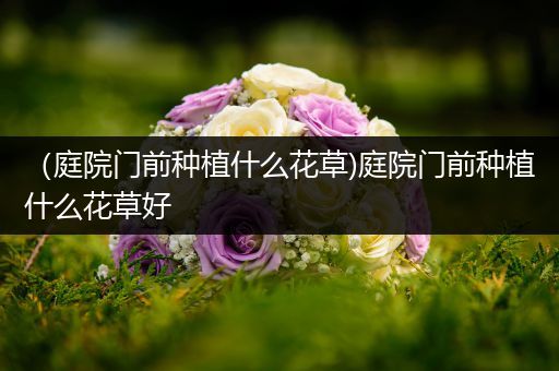 （庭院门前种植什么花草)庭院门前种植什么花草好