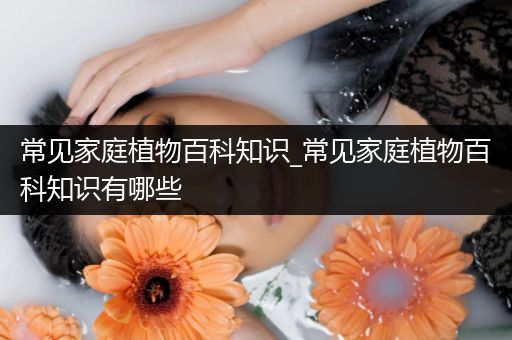 常见家庭植物百科知识_常见家庭植物百科知识有哪些