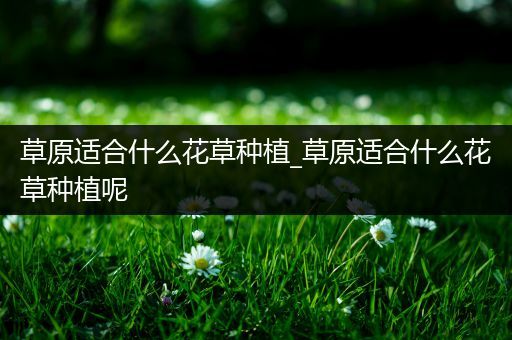 草原适合什么花草种植_草原适合什么花草种植呢