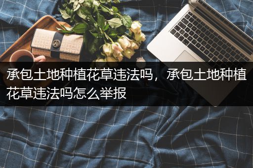 承包土地种植花草违法吗，承包土地种植花草违法吗怎么举报
